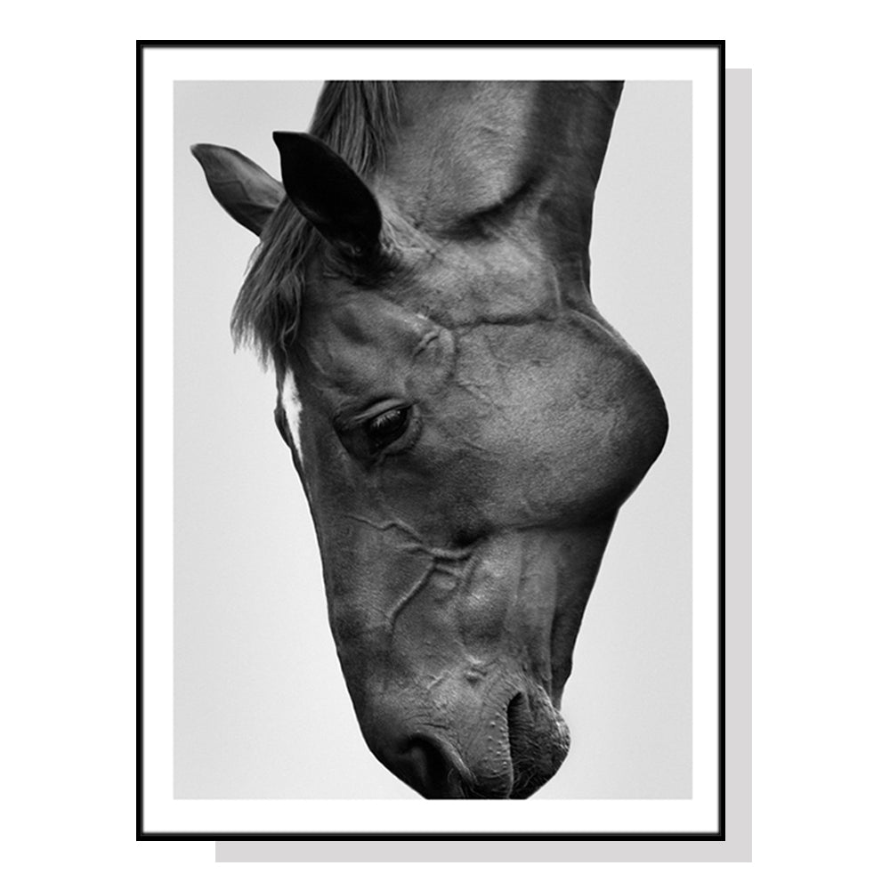 Image of wall art 50cmx70cm modern black horse black frame canvas ideal for luxury casual home interiors