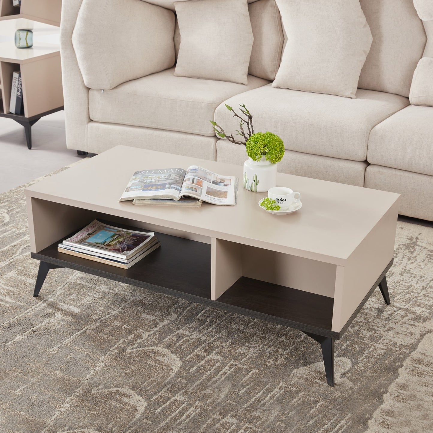 Image of coffee table 2 open storage cabinet mdf in champagne colour  ideal for luxury casual home interiors