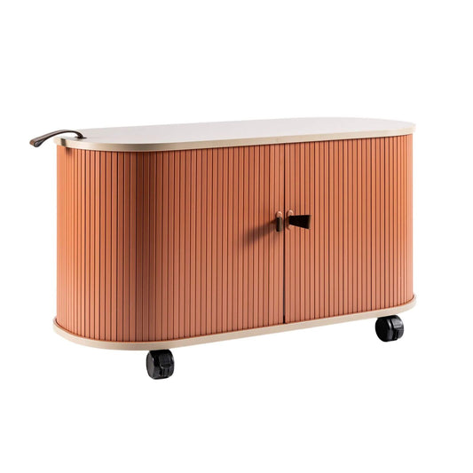 Image of ufou fitin rollin mobile roller shutter cabinet - storage with adjustable shelves & wheels  versatile for both home and professional use
