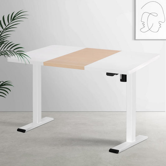 Image of artiss standing desk motorised sit stand desks 120cm  suitable for aged care, corporate offices, and commercial settings
