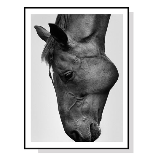 Image of wall art 70cmx100cm modern black horse black frame canvas  ideal for luxury casual home interiors