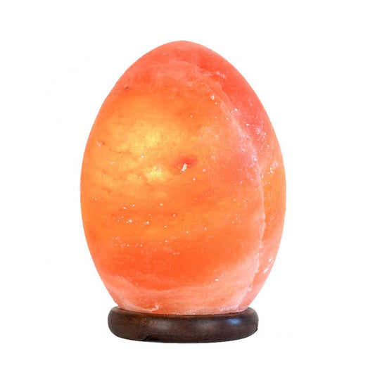 Image of 12v 12w egg himalayan pink salt lamp carved rock crystal light bulb on/off switch  versatile for both home and professional use