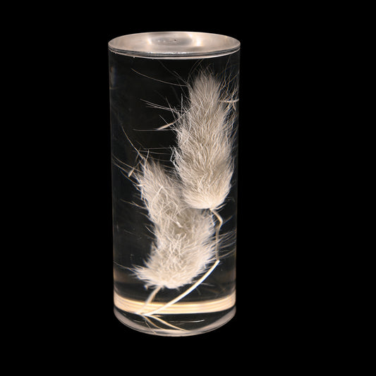 Image of dogtail grass eternal flower acrylic table lamp - color-changing led, usb rechargeable, touch control  ideal for luxury casual home interiors