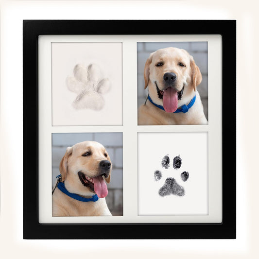 Image of black and white pet paw print keepsake photo frame kit - mess-free ink pad for dogs & cats, dual photo & print display  versatile for both home and professional use